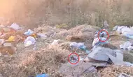 Diyarbakır'da çöp dağları arasında fare istilası yaşanıyor