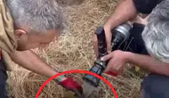Lice alevlerine müdahale eden ekipler bir kaplumbağayı kurtardı