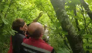Sinop’ta tarlalara samuray arısı salındı