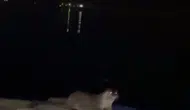 Ereğli sahilinde samimi anlar