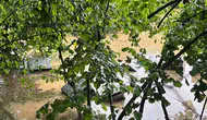 Kastamonu’da sel felaketi arıcıları vurdu