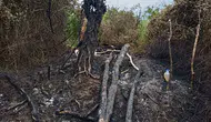 Samsun’da yaşlı kadının tek geçim kaynağı olan tarlası yandı