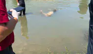 Dicle Nehri kıyısında sabah saatlerinde acı bir keşif yapıldı
