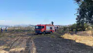 Manisa Alaşehir’de ot yangını paniği