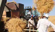 Diyarbakır tarlalarında 40 derecelik zorlu hasat mesaisi
