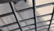 İnegöl’deki iş yerinde karşılaşılan ilginç misafir