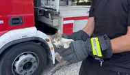 Düzce’de mahsur kalan yavru kedi itfaiye operasyonuyla kurtuldu