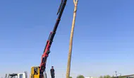 Şanlıurfa’da yakılan anızlar elektrik şebekesini harabeye çevirdi