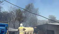 Havran Fazlıca’da alevler orman sınırına dayandı