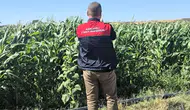 Lüleburgaz'da tarım arazilerinin röntgeni çekiliyor