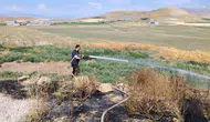 Van'da alevler tarlalara yayıldı