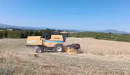 Selendi ovasında altın başak mesaisi başladı