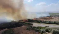 Çankırı'da Kızılırmak kıyısında yangın paniği