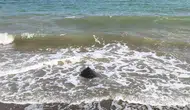 Mersin ve Göksu artık uydudan takip edilecek