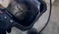 Eskişehirde yavru kedi boruda mahsur kaldı