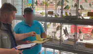 Çanakkale petshoplara sıkı denetim getirdi