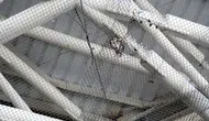Antalya Nekropol Müzesi'ndeki kuş ölümleri için çözüm bulundu