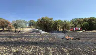 Karabük'te tarlada çıkan yangın 25 dönümü küle çevirdi