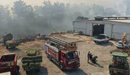 Balıkesir'de üç noktada aynı anda orman yangını paniği
