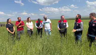 Kars’ta 13 bin yıllık buğday ata tohumuyla yeniden hayat buluyor