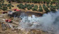 Aydın Kuyucak'ta orman yangını korkuttu
