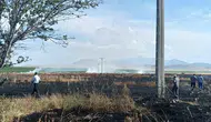 Karapınar'da elektrik kıvılcımı 20 dönüm buğdayı küle çevirdi