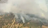 Aydın Bozdoğan'da tarım arazisi alevlere teslim oldu