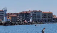 Marmara’nın maviliğinde iki yunus sürpriz yaptı