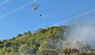 Muğla Ortaca'daki orman yangınında korkulan olmadı