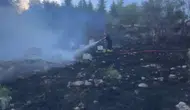 Isparta'da yangına müdahale eden itfaiyeyi arılar bastı