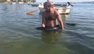 Erdek kıyısında mahsur kalan yavru yunus için seferberlik