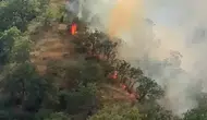 Tosya’da orman yangını 40 dönümü küle çevirdi