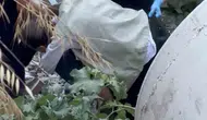 Bursa'da sarp arazide düşen vatandaşı itfaiyeci sırtında taşıdı