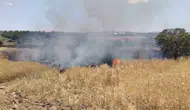 Elazığ Poyraz Köyü arazisinde yükselen alevler söndürüldü