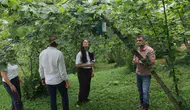 Karadeniz çiftçisi zararlılarla mücadelede teknolojiyi kullanacak
