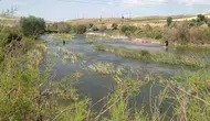 Kızılırmak kıyısındaki acı olayda 15 yaşındaki Gülseren her yerde aranıyor