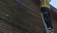 Safranbolu’da halı sahanın tepesinde mahsur kalan kedi kurtarıldı