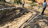 Nizip'teki fıstık tarlasında acı son