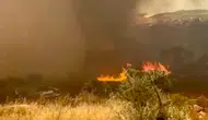 Muğla Kavaklıdere'de ormanlık alanda yangın paniği