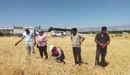 Malatyalı çiftçinin nohut hasadı yüzleri güldürdü