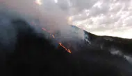 Kastamonu'da bir evde başlayan yangın ormana sıçradı