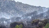 Bodrum Gümüşlük'te korkutan yangın söndürüldü