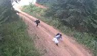Jandarma orman ve sınır bölgelerini fotokapanla izleyip 1847 kişiyi yakaladı