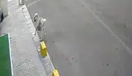 Tekirdağ'da mahalleliyi üzen kaza