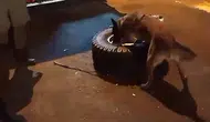 Osmaniye otoyolunda uyuşturucu operasyonu