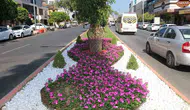 Alanya'da kuru ot temizliği yangın riskini önleyecek