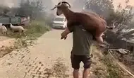 Muğla yangınında can kurtaran o anlar