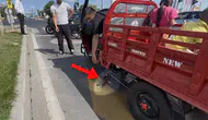 Çorlu trafiğinde yürekleri ağza getiren kedi kurtarma operasyonu