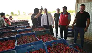 Afyon’da kiraz mevsimi açıldı