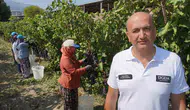 Manisa’nın üzümleri dünyaya açılıyor